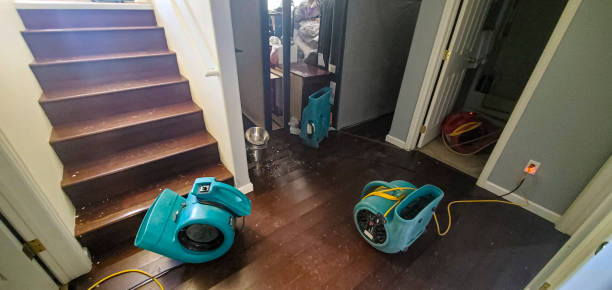 Best Water damage restoration cost  in Berlin, NH