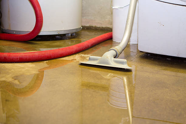 Water damage restoration mold remediation in NH