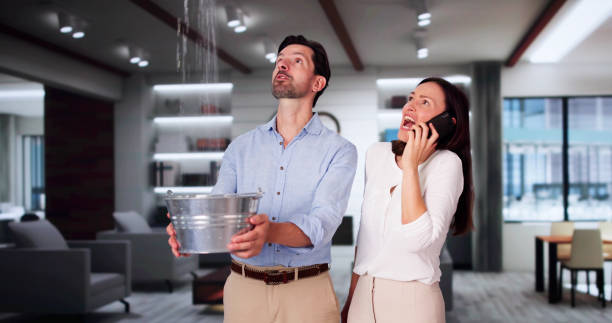 Best Professional water damage repair  in Berlin, NH